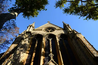 DSC_0453 (Large).JPG